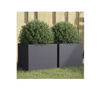 Vidaxl Jardinières 2 Pcs Anthracite 32x30x29 Cm Acier Laminé À Froid
