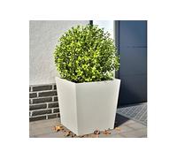 Jardinières 2 pcs blanc 50x50x50 cm acier851069