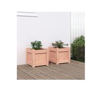 Jardinières 2 pcs bois massif douglas