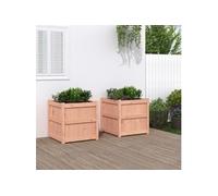 Vidaxl Jardinières 2 Pcs Bois Massif Douglas