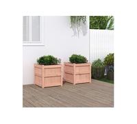 Vidaxl Jardinières 2 Pcs Bois Massif Douglas