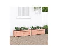 vidaXL Jardinières surélevées 2 pièces bois massif Douglas Marron G