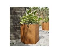 vidaXL Jardinières 2 pièces hexagonales 46x40x45 cm acier patinable