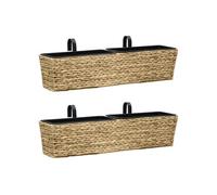 vidaXL Jardinières Jacinthe d'eau – 2 pcs – Marron clair
