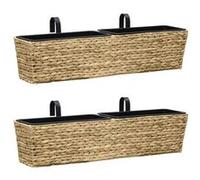 vidaXL Jardinières Jacinthe d'eau – 2 pcs – Marron clair