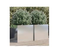 Jardinières 2 pcs, Lits Surélevé, Bacs à Fleurs, Pots de Plantes, Boîtes à Fleurs Jardin Patio Terrasse, Argenté 841568
