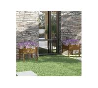 2x Bois de Pin Massif Jardinières Noir 70x70x70 cm Lits Surélevés vidaXL