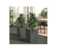 Jardinières 2 pcs noir 30x30x37 cm polypropylène364182