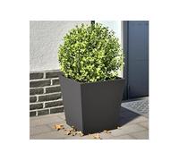 Jardinières 2 pcs noir 40x40x40 cm acier, jardinière d'extérieur, boîte à fleurs, boîte de jardin, jardinière de 851053