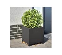 Vidaxl Jardinières 2 Pcs Noir 40x40x40 Cm Acier
