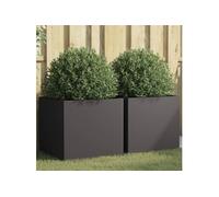 Jardinières 2 pcs noir 49x47x46 cm acier