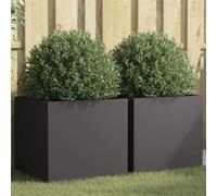 Jardinières 2 pcs noir 49x47x46 cm acier Noir G