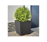 Jardinières 2 pcs noir 50x50x50 cm acier, jardinière d'extérieur, boîte à fleurs, boîte de jardin, jardinière de 851067