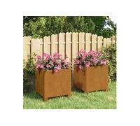 Vidaxl Jardinières Avec Pieds 2 Pcs Gris 32x30x33 Cm Acier Corten