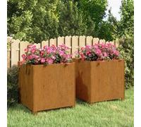 Jardinières avec pieds 2 pcs Rouillé 49x47x50 cm Acier corten Gris G