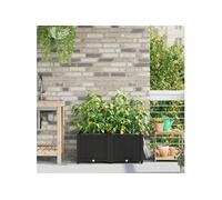 Jardinières avec Système d Irrigation 2 pcs Noir