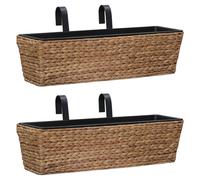 vidaXL Jardinières 2 pcs Jacinthe d'eau