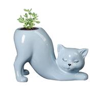 Jardinières pour chats - Pots originaux pour succulentes et cactus | Jolies pots de fleurs pour décoration intérieure et extérieure, idéal pour la maison, le bureau, le jardin ou le balcon