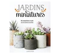 Jardins miniatures avec des plantes succulentes