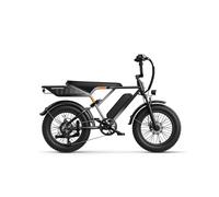JASION RetroVolt Vélo Électrique - 500W Batterie 48V12.5Ah Pneus 20 Pouces Freins à Disque - Dégradé argenté