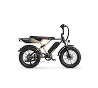 JASION RetroVolt Vélo Électrique - 500W Batterie 48V12.5Ah Pneus 20 Pouces Freins à Disque - Kaki