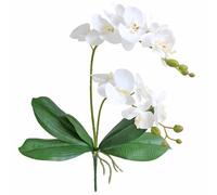 Jasming Fleurs artificielles Phaleanopsis - Feuilles d'orchidées artificielles - Branches pour décoration de Jardin - Bonsaï - Blanc