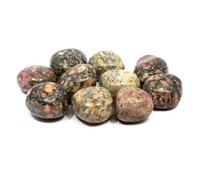 Jaspe Léopard Pierre au sèche-linge (20-25 mm)