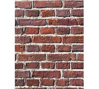 Jasper The TimidCat Notebook: Textured Perspectives - Brick Wall: A notebook featuring photographic textures for journaling, note-taking, and creative expression