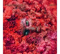 Jasss - A World of Service [Import]