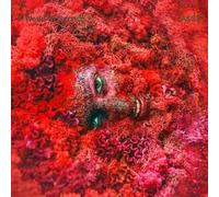 Jasss - A World of Service [Import]