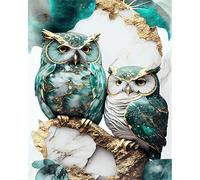 JATOK Peinture par numéros pour adultes, peinture par numéros, motif de chouette, avec pinceaux et peintures acryliques, peinture à l'huile sur toile, pour décoration d'intérieur, sans cadre, 40 x 50
