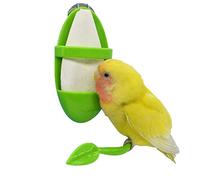 jatour 1 Porte Seiche Perruche, Tasse d'Perroquet, Support Nourriture pour Oiseaux, Support Perroquet, Seche pour Perruche pour La Peau Tigre, Pivoine, Xuanfeng, Perroquet