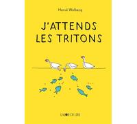 J'attends les tritons - Hervé Walbecq - Joie De Lire - broché - Roman junior
