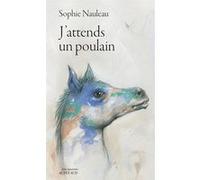 J'attends un poulain Sophie Nauleau (Auteur)