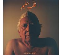 Jaubi - A Sound Heart