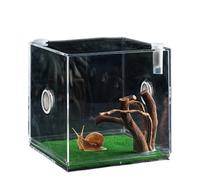 Jaula transparente para Reptiles Terrario de arañas saltarinas, hábitat de animales pequeños | Caja Ligera de cría para Tortugas, escarabajos, caracoles, lagartos, anfibios