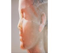 Jaume Plensa Inner Matter /anglais