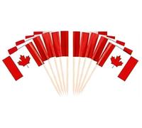 JAVD CYPS Lot de 100 cure-dents avec drapeau canadien, petits bâtonnets pour cupcakes, décorations de fête, cocktail, nourriture, bar, gâteau