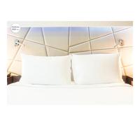 JAVIER LARRAINZAR Lot de 2 oreillers 100% Coton Iris Premium Host 45 x 85 cm