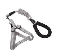 Javoryxh Laisse pour Chien Ceinture Antidérapante Harnais Corde Longue Animaux De Compagnie Entraînement Solide Marche Natation Poignée Souple Entraînement Chiens
