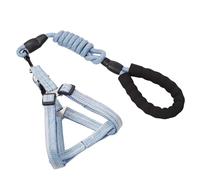 Javoryxh Laisse pour Chien Ceinture Antidérapante Harnais Corde Longue Animaux De Compagnie Entraînement Solide Marche Natation Poignée Souple Entraînement Chiens
