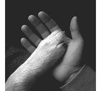 Jaws of Love. - Tasha Sits Close to The Piano