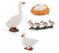 JAWSEU Étapes du Cycle de Vie Modèle Animal de Simulation, etape de Croissance Cycle de Vie Jouet ModèLe Jouet De Figures Animaux De Cycle De Vie Jouet d'apprentissage éducatif précoce pour Enfants