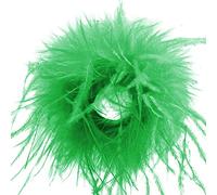 JAWSEU Poignets Plumes Naturelles, Bracelet Slap Plume Poignets en Plumes D'autruche Élégant Manches Poignets Plumes Bracelets Cheville Cheveux Accessoires pour Partie Cosplay