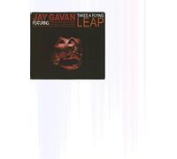 Jay Gavan - Takes a Flying Leap