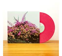Jay Som – Turn Into – Polyvinyl Records