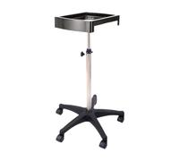 JAYIOLA Chariot de Plateau Mobile pour Une Utilisation Du Salon, Chariot de Rangement pour Les Coiffeurs