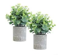 Jayruit Améliorez votre espace avec 2 plantes d'eucalyptus en pot, aspect naturel et moelleux