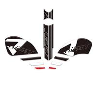 JAYWIS Autocollant Latéral pour Réservoir De Moto pour BMW pour R NineT 2017-2023, Kit De Protection en Gel pour Réservoir Protection RéServoirs(Couleur 2,X-1)