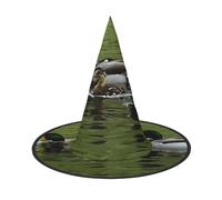 JAYWIS Chapeau d'Halloween Loon Nature Bird - Couverture complète pour adulte - Chapeau de sorcière pliable pour foires de la Renaissance, fêtes gothiques et festivals